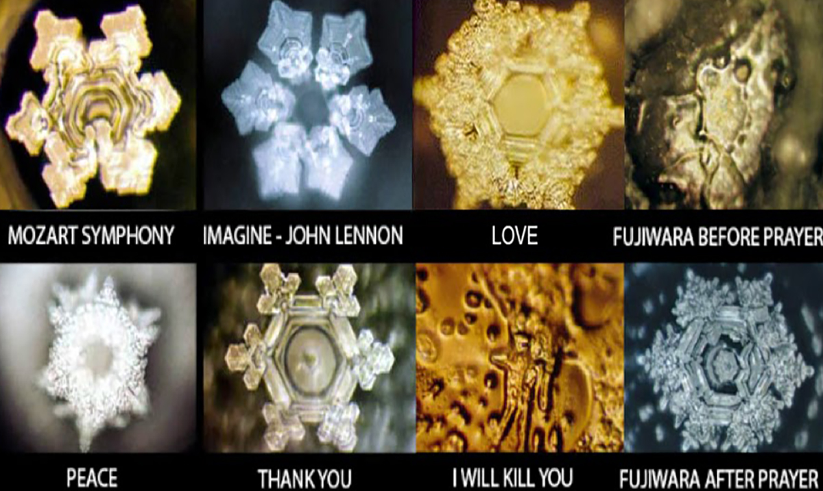 masaru emoto messages from water